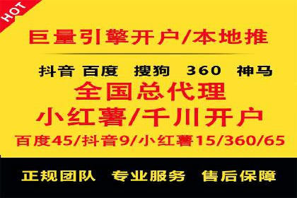 网络推广与竞价广告：双管齐下的策略案例